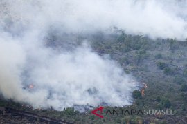 Kebakaran Lahan Pedamaran Induk Masih Menyala Page 2 Small