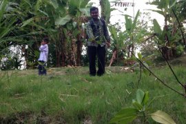 "Mangrove Center" Dukung Penanaman Bakau di Bojonegoro