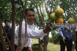 Mentan Serahkan Taman Teknologi Pertanian ke Gresik