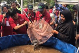 Pertumbuhan 5,7 persen hanya bisa tercapai dengan pembangunan rendah emisi