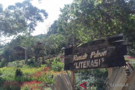 Ingin tahu tentang adat dan budaya Minangkabau? ayo ke rumah pohon literasi