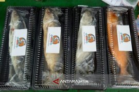 Alumnus UMM Produksi "Bangdur" Rasa Nusantara tanpa Presto