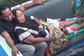 Buaya muara serang warga Pantai Kotabaru