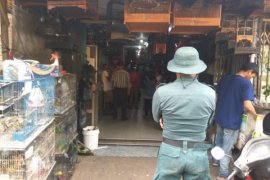 SPORC Kalbar amankan 10 burung dilindungi