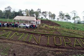 Rp12,85 miliar dialokasikan guna menata kawasan wisata terpadu Camintoran