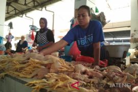 Harga daging ayam capai Rp38.000