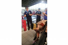 Ribuan peserta dari 13 kabupaten dan kota ikuti popda Kalbar 2018