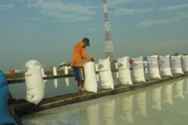 Harga Garam di Kabupaten Probolinggo "Terjun Bebas"