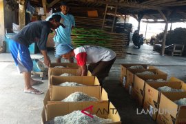 Ekspor Lampung pada Oktober turun