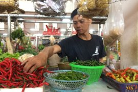 Pameran Kemana Harga Diri