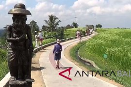Tabanan tambah wahana "tracking" wisata hamparan sawah Jatiluwih (video)