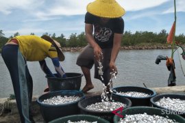 Poltekpel Sumbar targetkan latih 3.600 nelayan terkait keselamatan dan aturan menangkap ikan