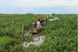 Cerdas IPB inisiasi adaptasi iklim di Danau Tempe