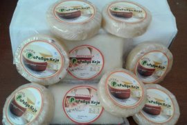 Padang Panjang menargetkan produksi 100 kilogram keju