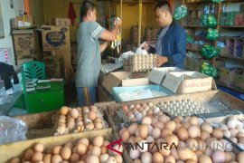 Harga telur dan daging bertahan tinggi