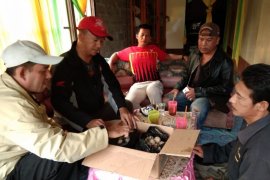 Wow, penjaga habitat penyu tertangkap tangan jual telur penyu