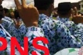 Tentukan Posisi dan Tunjangan, Pemkab Kuansing Gelar Bimtek Evaluasi Jabatan