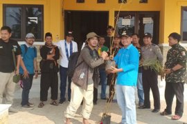 Komunitas Bekasi tanam bambu di Muara Sungai Citarum