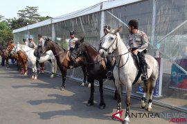 Pasukan berkuda mulai amankan areal GBK