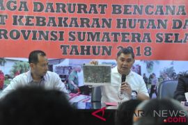 Penegakan hukum kebakaran hutan lahan