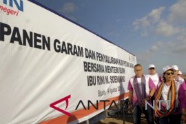 Garam persero target produksi 20 ribu ton
