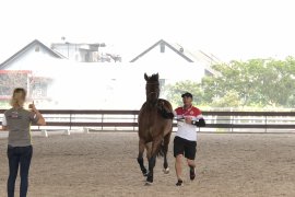 Equestrian, olahraga unik dengan modal fantastis
