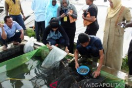 Pemerintah genjot produksi benih ikan air tawar
