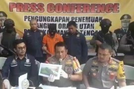 Tersangka pembunuh orangutan diduga ingin cari perhatian dunia