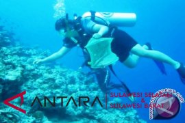 BUMN Hadir - Jamkrindo-Perumnas Bersihkan Pantai Lokasi Hiu Paus