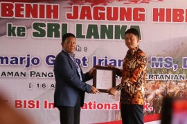 Ekspor Benih Jagung Hibrida