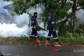 Dinkes Pasaman lakukan pengasapan, cegah penyebaran DBD