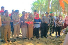 Petani mitra Nubika Jaya jalankan PSR