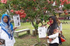 Literasi pohon ajak siswa gemar membaca