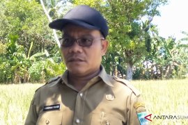 Baru 3,2 persen sawah di Padang Pariaman diasuransikan