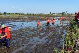 Pemerintah daerah diharapkan sukseskan HPS XXXVIII