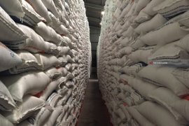 Serapan Bulog Terkendala Tingginya Harga Gabah