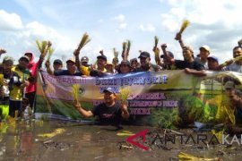 Gubernur ajak anggota  PWI tanam padi