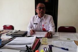 Tapin siapkan 1175 ekor sapi qurban