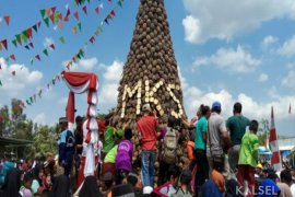 Indonesia ready to penetrate US pineapple market