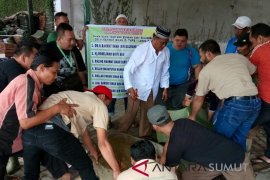 THPS sembelih dua ekor sapi