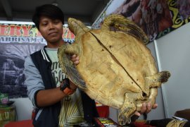 Labi-Labi di stand pameran Pesparawi  XII