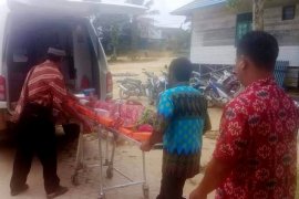 Digigit monyet, warga Barut dirawat RSUD