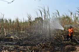 Satpol PP Kota Madiun Tangani 46 Kasus Kebakaran