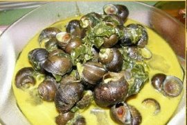 Menakar peluang bekicot sebagai asupan pengganti daging