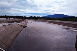 Kolam limbah kelapa sawit jebol di Agam,  200 hektare tanaman padi terancam rusak