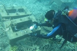 PKSPL IPB pantau terumbu karang di pulau Nyamuk Anambas