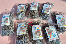 "Menyulap" tinta gurita jadi cemilan