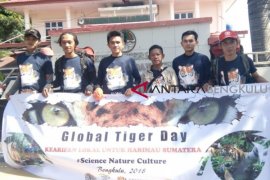 "TigerHeart" patroli jerat harimau di Bengkulu