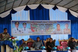 Gubernur panen udang budidaya supra intensif di Ampana