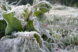 Fenomena Embun Salju di Gunung Bromo